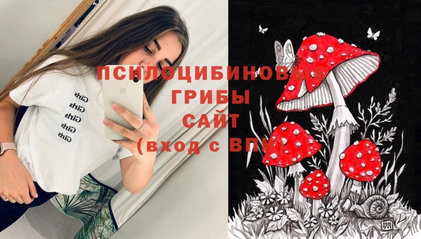 гашиш Аркадак