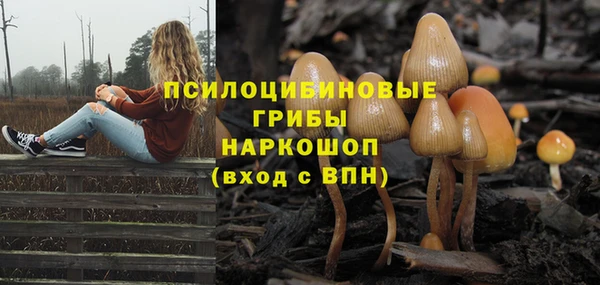 МДПВ Арсеньев